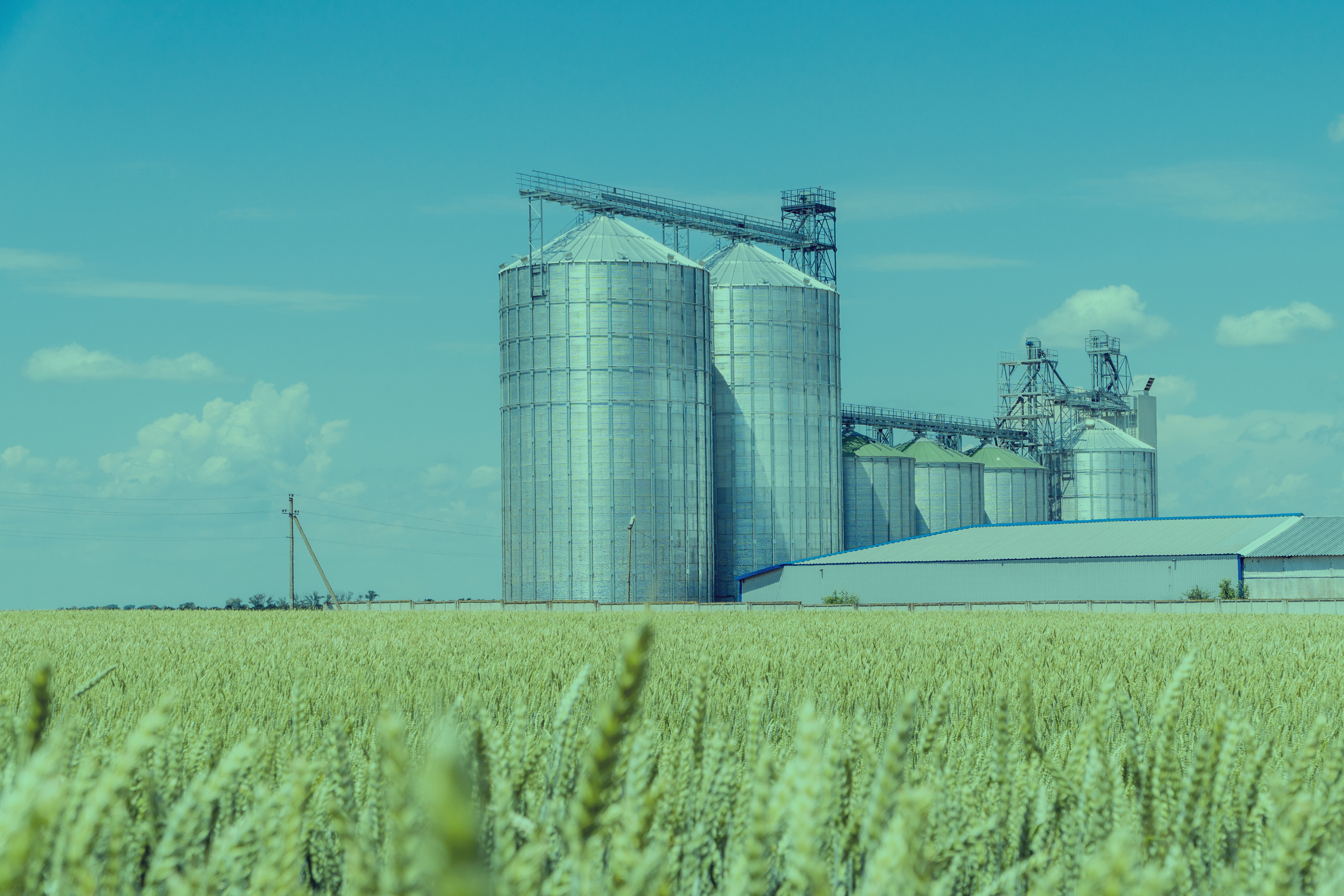 How to Prevent a Ransomware Attack During Harvest Season